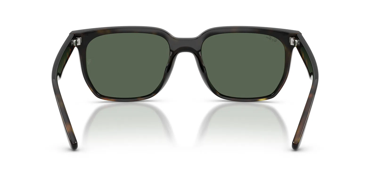 Ray-Ban 4466D Sunglasses - Transparent Grey - view 32